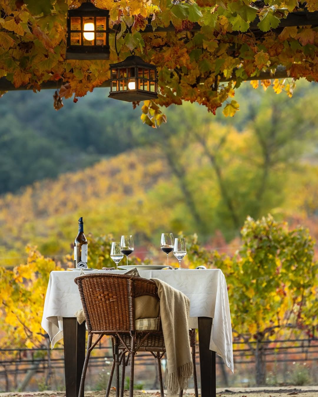 Montes & Clos Apalta - Valle de Colchagua
